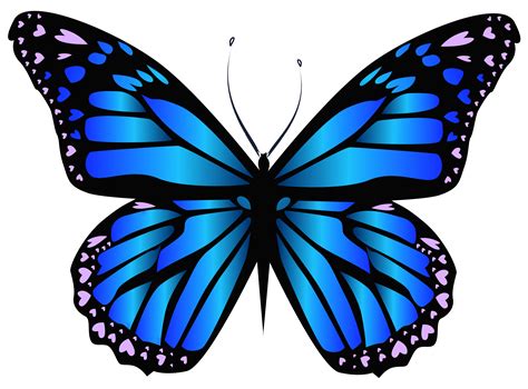 borboleta azul para imprimir